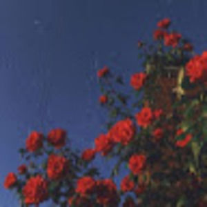 Meet your Posher, Ebany